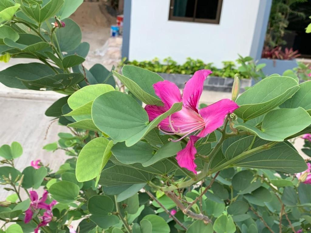 Nangrong Garden Home Esterno foto